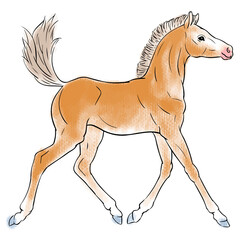 Hand drawnHand drawn vector of foal. Stock illustration of running baby horse. vector of foal.