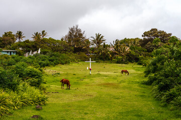 Hanga Roa center, Easter Island, Polynesia