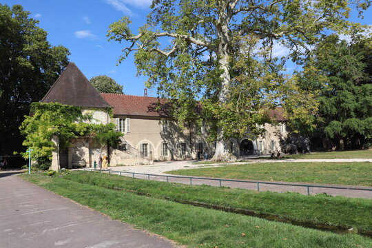 Le jardin botanique de l'arquebuse, ville de Dijon, departement de la Cote d'Or, France