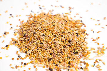 parrot feed on a white background. pet shop.