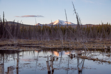 Stunning scenery in northern Canada during spring time with snow capped mountains and healthy, green boreal forest with calm lake below.