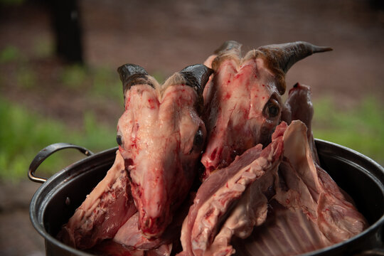 goat head, tasty birria ready to cook in mexico sinaloa