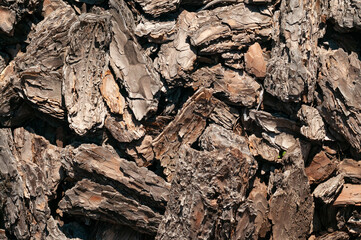bark texture