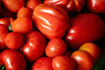 fresh vegetables on a gray table