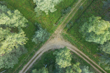 Gruntowa, leśna droga. Widok z drona.