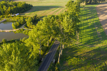 Obraz na płótnie Canvas Asfaltowa droga przebiegająca przez pola uprawne. Widok z drona.