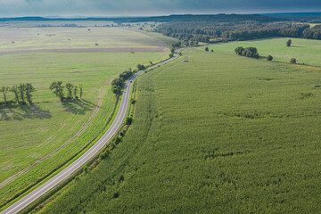 Asfaltowa droga przebiegająca przez pola uprawne. Widok z drona.
