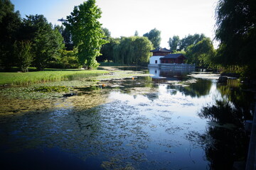 Großer Gartenteich