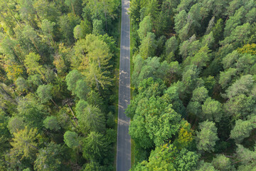Asfaltowa droga w sosnowym lesie. Widok z drona. © boguslavus