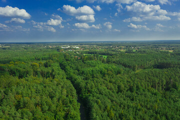 Fototapeta na wymiar Asfaltowa droga w sosnowym lesie. Widok z drona.