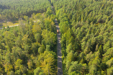 Asfaltowa droga w sosnowym lesie. Widok z drona.