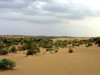 Panorama of the Sam Sand Dunes near Jaisalmer, Rajasthan, India