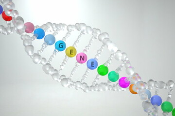 DNA molecule with GENE text. 3D rendering