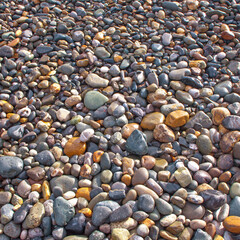 Colorful pebble beach near seashore background