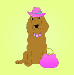 A spaniel dog in a pink hat on yellow background 