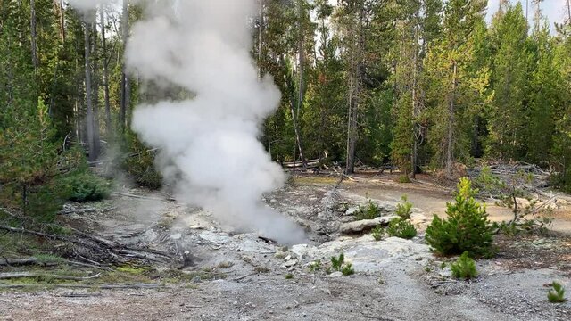 Forgotten Fumarole in the Norris Geyser Basin in Yellowstone National Park