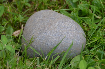 Ein Stein der in der Wiese liegt