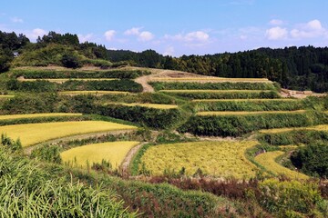 山都町の棚田の風景