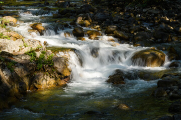 White water in a mountain stream as it cascades down through the forest finding spots of light in its way