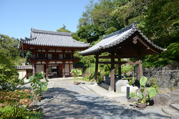 岡寺　手水舎と仁王門　奈良県明日香村