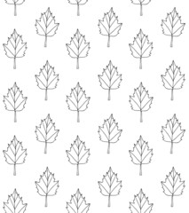 Vector seamless pattern of hand drawn doodle sketch leaves isolated on white background