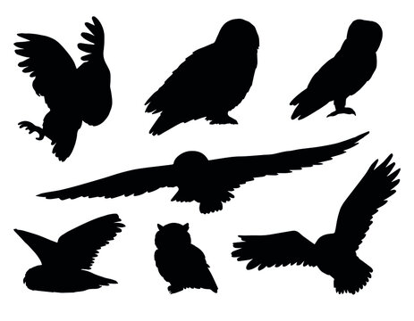 Vector set bundle of hand drawn owl silhouette isolated on white background