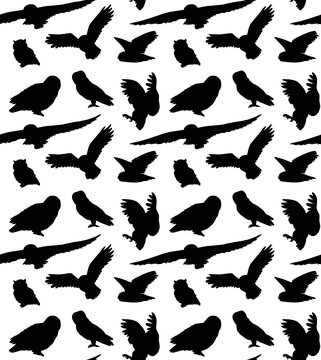 Vector seamless pattern of hand drawn owl silhouette isolated on white background