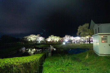 Fototapeta premium church at night