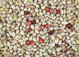 fresh colorful cranberry bean as food background