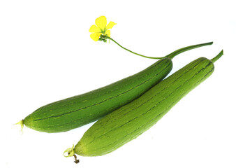 fresh picked luffa isolated on white background