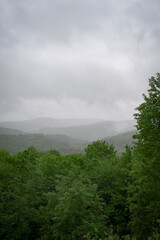 Forested valley on a misty, overcast day. Focus on dense foliage in the foreground. The rolling hills behind are shrouded in a dense haze, with a dark, ominous cloudy sky.