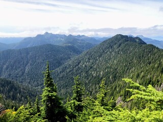 Fototapeta na wymiar The forested mountains outside of Queen Charlotte, along the sleeping beauty trail, on Graham Island, Haida gwaii, British columbia, Canada
