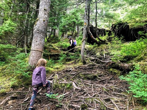 A mother and daughter in haida gwaii, british columbia, canada, doing the sleeping beauty hike. Hiking up a difficult trail with lots of roots