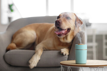 Cute dog in room with modern humidifier - obrazy, fototapety, plakaty