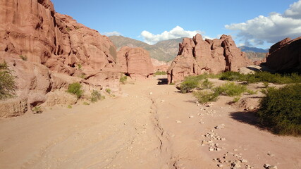 Fototapeta na wymiar mountain desert landscape in northwest Argentina (D-Log profile)