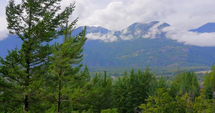 Establishing shot of majestic mountains with forest foreground in Vancouver, Canada, North America. Day time on July 2021. Still camera view. ProRes 422 HQ.