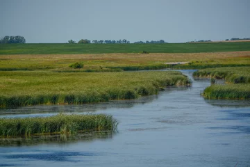 Foto op Plexiglas Beautiful wetlands of Hamden Slough on the Detroit Lakes in Audubon, Becker County, Minnesota © Norm