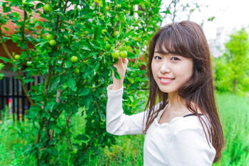 果物狩り・収穫