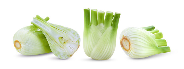 Fresh fennel isolated on a white