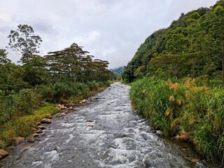 Natural river in mountain