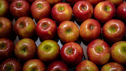Fresh red apples on market counter. Apples on cardboard box on the grocery shelf