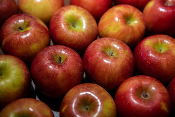 Fresh red apples on market counter. Apples on cardboard box on the grocery shelf