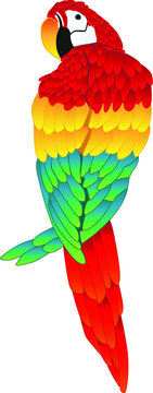 Parrot