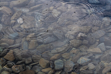 Beautiful clear, pristine lake in northern Canada during summer time with rocks, water ripples while raining. Great background, desktop picture, calm, serene. 