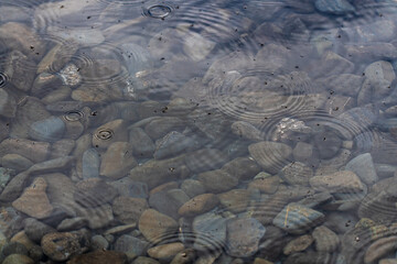 Beautiful clear, pristine lake in northern Canada during summer time with rocks, water ripples. Great background, desktop picture, calm, serene. 