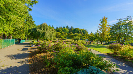 Late summer garden at scenic Burnaby Mountain park, BC