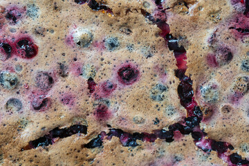 Cracked blueberry pie crust, macro. Homemade organic blueberry pie dessert ready to eat. Blueberry meringue pie