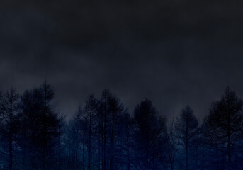 Fototapeta na wymiar 落葉した冬の森、闇夜の創造アート