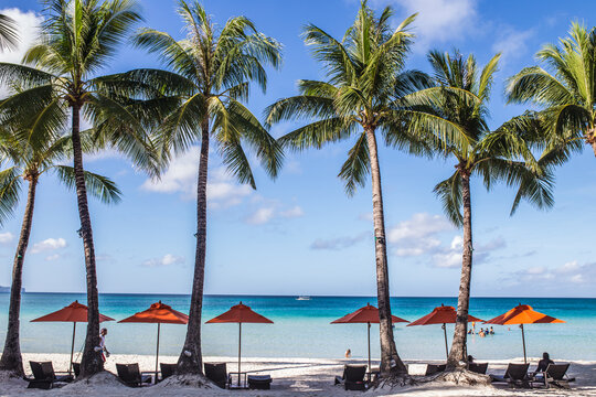 beach with palm trees and blue sky. Boracay, Philippines, Asia.