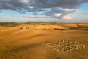 Beautiful idyllic late summer landscape of Toscana with plants, hills, trees and fields. Sunny evening or morning in Italy. Vacation, recreation mood. Agricultural fields of Tuscany